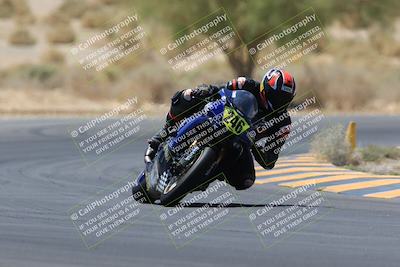 media/May-14-2023-SoCal Trackdays (Sun) [[024eb53b40]]/Turn 5 Tree of Life (1125am)/